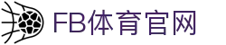 FB体育(SPORTS)App官方下载 - 手机就是你的私人看台
